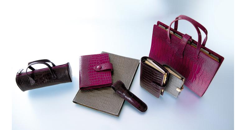 Portfolio Image 4