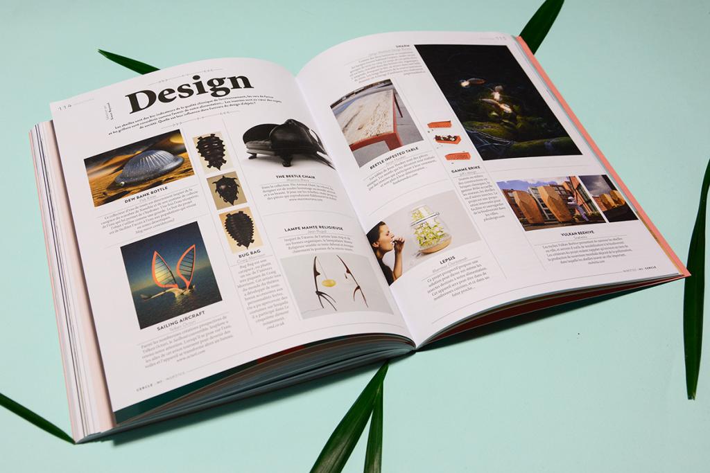 Portfolio Image 6